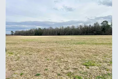 1400 Block Mexboro Rd, Frisco City, AL 36445 - Photo 2