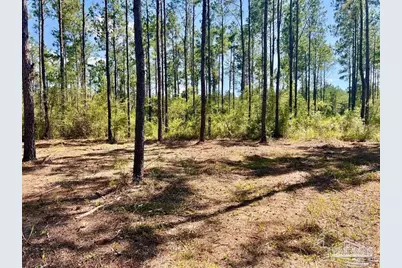 Lot 75 Naturewalk Dr, Jay, FL 32565 - Photo 4