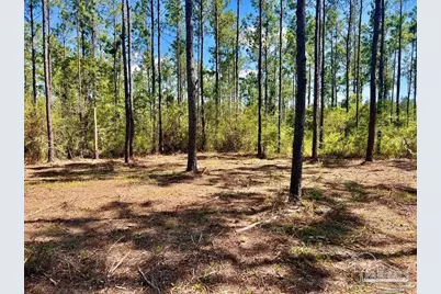 Lot 75 Naturewalk Dr, Jay, FL 32565 - Photo 2