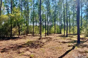 Lot 75 Naturewalk Dr, Jay, FL 32565 - Photo 1