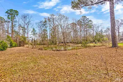 1002 Daffin Rd, Molino, FL 32577 - Photo 52