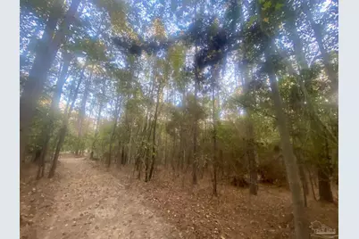 4 Acres Hwy 4, Jay, FL 32565 - Photo 6