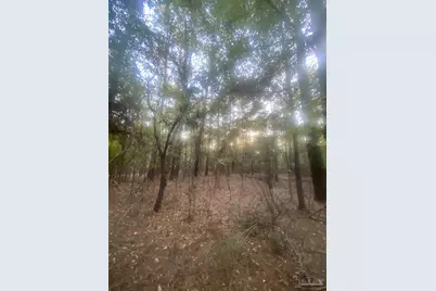 4 Acres Hwy 4, Jay, FL 32565 - Photo 2