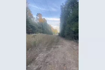 4 Acres Hwy 4, Jay, FL 32565 - Photo 8