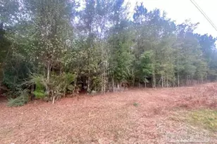 4 Acres Hwy 4, Jay, FL 32565 - Photo 1