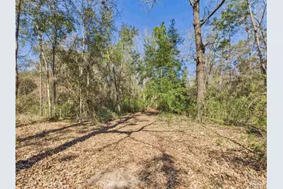 9866 Red Rock Rd, Milton, FL 32583 - Photo 50