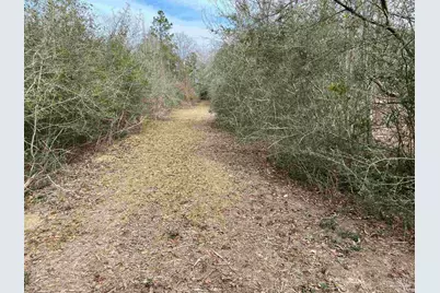 0000 Hwy 4, Jay, FL 32565 - Photo 30
