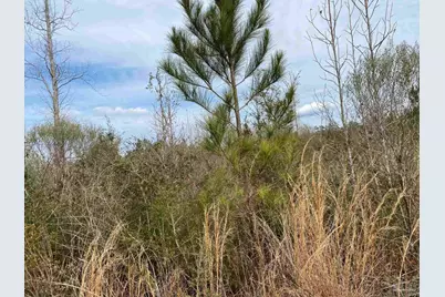 0000 Hwy 4, Jay, FL 32565 - Photo 38