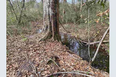 0000 Hwy 4, Jay, FL 32565 - Photo 32