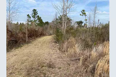 0000 Hwy 4, Jay, FL 32565 - Photo 8