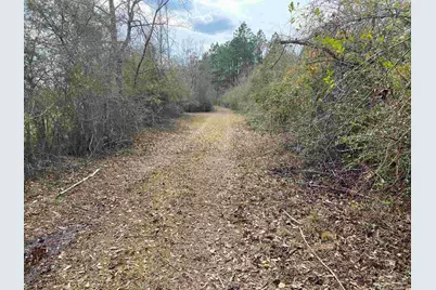 0000 Hwy 4, Jay, FL 32565 - Photo 10