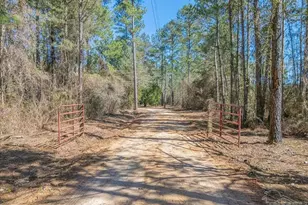 1660 Annie Penton Rd, Jay, FL 32565 - Photo 46