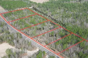 Lot 3 Walling Rd, Milton, FL 32570 - Photo 1