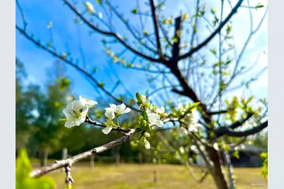 5434 Lilac Ave, Milton, FL 32570 - Photo 26