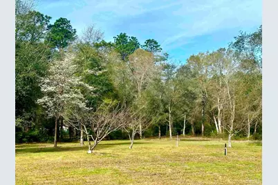 5434 Lilac Ave, Milton, FL 32570 - Photo 28