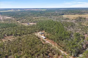 5565 Hwy 178, Milton, FL 32570 - Photo 8