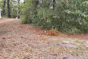 6844 Ferris Hill St, Milton, FL 32570 - Photo 24