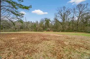 78 Hummingbird Ln, Atmore, AL 36502 - Photo 54