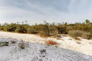 14314 Beach Heather Ct, Pensacola, FL 32507 - Photo 46