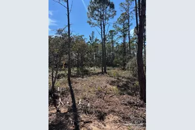 4481 Water Leaf Cv, Gulf Breeze, FL 32563 - Photo 4