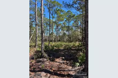 4481 Water Leaf Cv, Gulf Breeze, FL 32563 - Photo 2