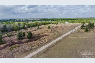20 Acres Tanner Ridge Rd, Jay, FL 32565 - Photo 8