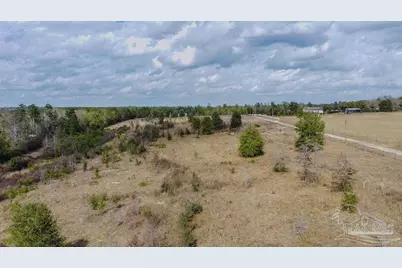 20 Acres Tanner Ridge Rd, Jay, FL 32565 - Photo 24