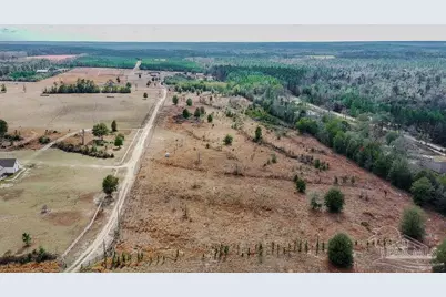 20 Acres Tanner Ridge Rd, Jay, FL 32565 - Photo 6