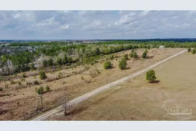 20 Acres Tanner Ridge Rd, Jay, FL 32565 - Photo 12