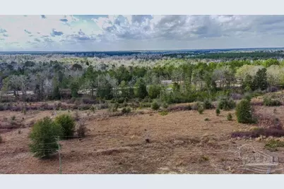20 Acres Tanner Ridge Rd, Jay, FL 32565 - Photo 16