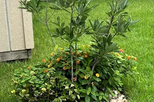 5761 Danbury Blvd, Pace, FL 32571 - Photo 50