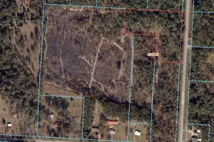 6700 Hwy 99, Molino, FL 32577 - Photo 1