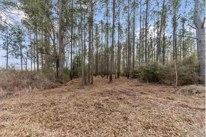 Lot #10 Bermuda Dr, Seminole, AL 36574 - Photo 8