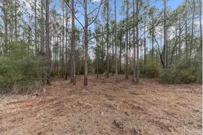 Lot #10 Bermuda Dr, Seminole, AL 36574 - Photo 4