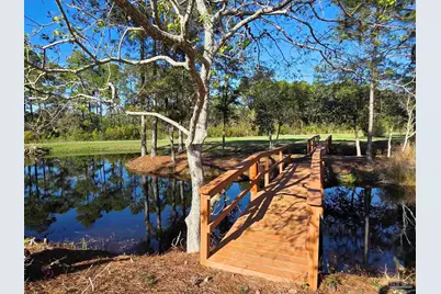 1164 Pearson Rd, Milton, FL 32583 - Photo 8