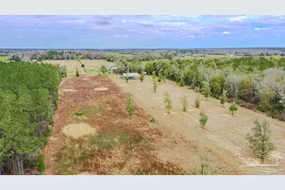 10 Acres Chumuckla Hwy, Pace, FL 32571 - Photo 10