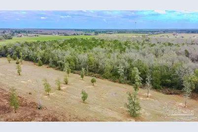 10 Acres Chumuckla Hwy, Pace, FL 32571 - Photo 38
