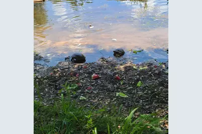 11424 High Springs Rd, Pensacola, FL 32534 - Photo 46