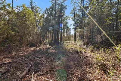 10736 County Rd 83, Elberta, AL 36530 - Photo 4