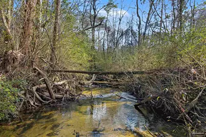 10736 County Rd 83, Elberta, AL 36530 - Photo 2