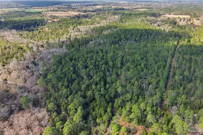 10736 County Rd 83, Elberta, AL 36530 - Photo 6