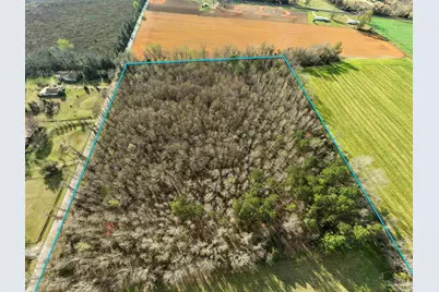 6562 Will Jones Rd, Jay, FL 32565 - Photo 12