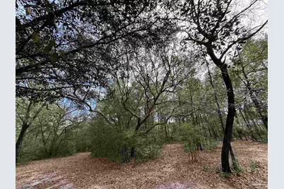 6512 Winston Brown Rd, Milton, FL 32570 - Photo 32