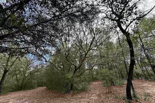 6512 Winston Brown Rd, Milton, FL 32570 - Photo 32