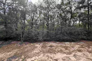 6512 Winston Brown Rd, Milton, FL 32570 - Photo 28