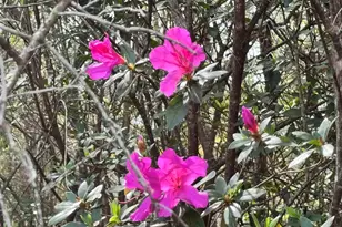 6512 Winston Brown Rd, Milton, FL 32570 - Photo 28