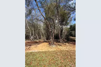 654 Nix Rd, Pensacola, FL 32506 - Photo 10