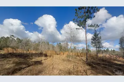 0 Native Creek Rd, Milton, FL 32571 - Photo 4