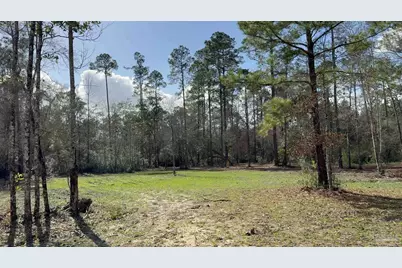 00 Native Creek Rd, Milton, FL 32571 - Photo 18