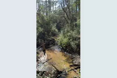 00 Native Creek Rd, Milton, FL 32571 - Photo 10